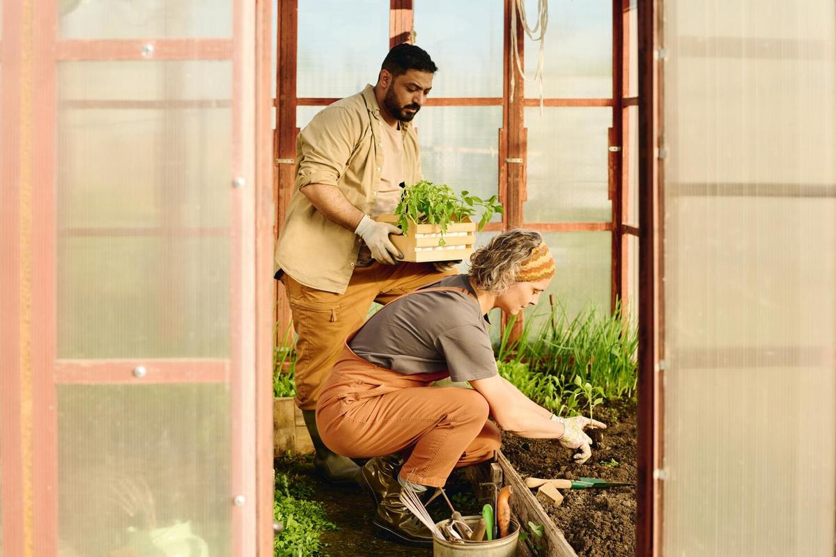 The Benefits of Urban Gardening: Grow Your Own Food